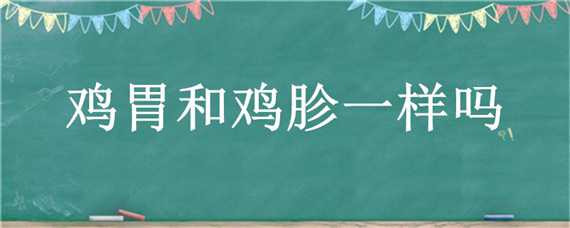 鸡胃和鸡胗一样吗（鸡胗是鸡肾还是鸡胃）