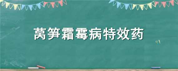 莴笋霜霉病特效药 莴笋灰霉病特效药