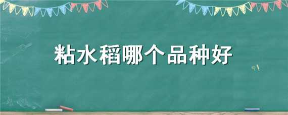 粘水稻哪个品种好（粘稻品种介绍）