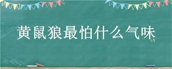 黄鼠狼最怕什么气味（黄鼠狼最怕什么气味?）