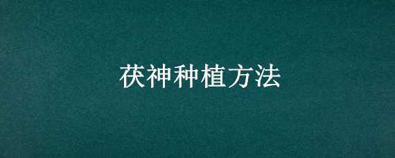 茯神种植方法 茯神种植方法视频