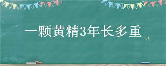 一颗黄精3年长多重 黄精一棵可以长多重