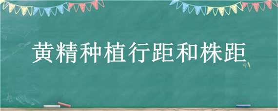 黃精種植行距和株距 種植黃精株行距是多少