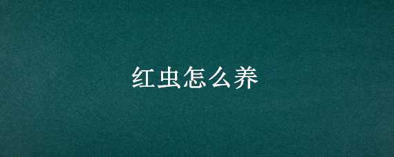 紅蟲(chóng)怎么養(yǎng) 用不完的紅蟲(chóng)怎么養(yǎng)