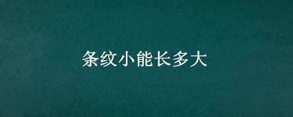 条纹小能长多大（多大开始长细纹）