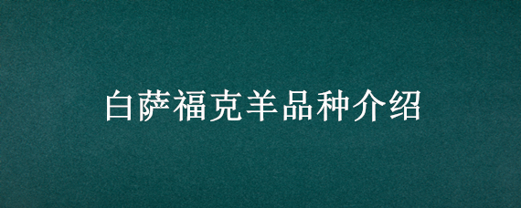 白萨福克羊品种介绍（黑萨福克羊品种介绍）