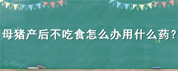 母猪产后不吃食怎么办用什么药 母猪产后不食怎样用药