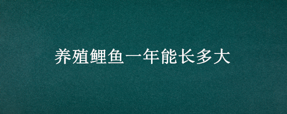 养殖鲤鱼一年能长多大（鱼塘养鲤鱼一年能长多大）