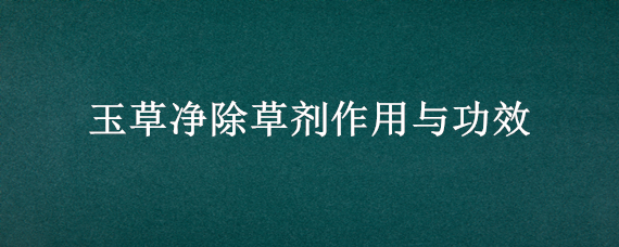 玉草净除草剂作用与功效（玉草净(玉米田除草剂）