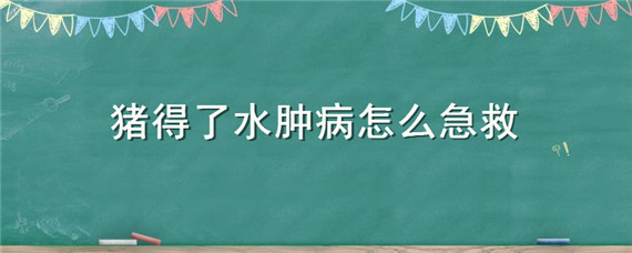 猪得了水肿病怎么急救 猪水肿病怎么办