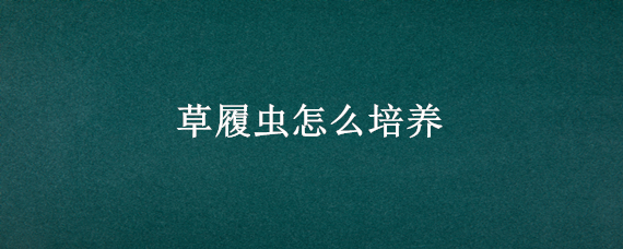 草履虫怎么培养 草履虫怎么培养视频