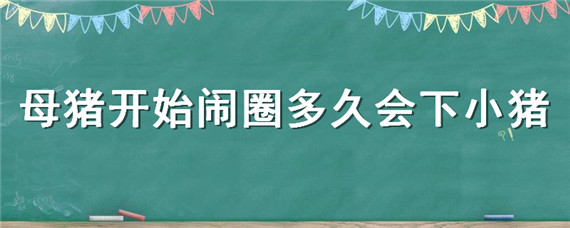 母猪开始闹圈多久会下小猪