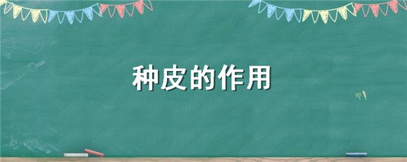 种皮的作用 种皮的作用是保护什么