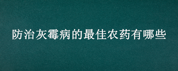 防治灰霉病的最佳农药有哪些 霜霉病用什么药