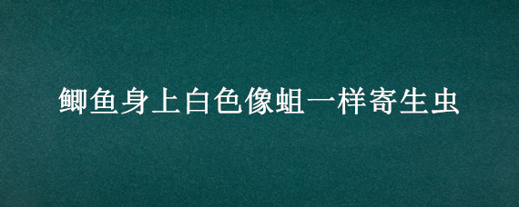 鲫鱼身上白色像蛆一样寄生虫 鲫鱼身上白色像蛆一样寄生虫对人有害健康