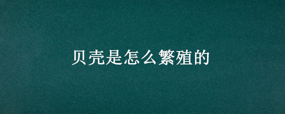 貝殼是怎么繁殖的（貝類是怎么繁殖的）