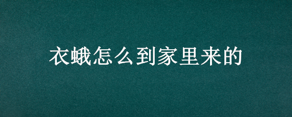 衣蛾怎么到家里来的 家里为什么会有衣蛾