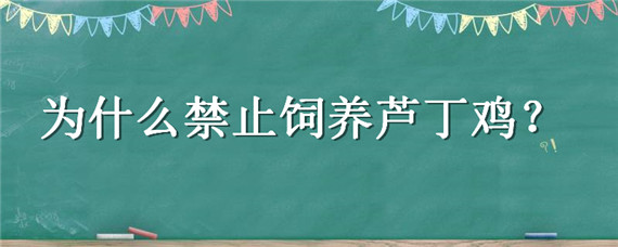 为什么禁止饲养芦丁鸡（为什么不能养芦丁鸡）