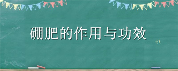 硼肥的作用與功效 硼肥的作用與功效葉面噴