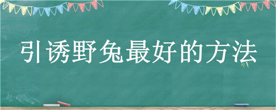 引诱野兔最好的方法（如何引诱野兔）