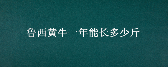 鲁西黄牛一年能长多少斤 鲁西黄牛母牛能长多重