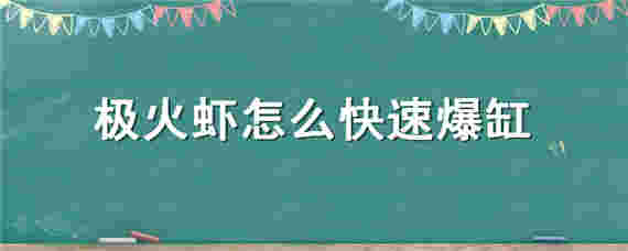 極火蝦怎么快速爆缸 極火蝦缸開缸教程