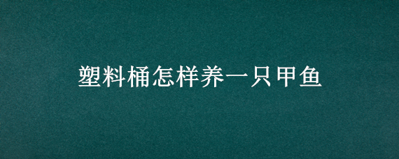 塑料桶怎樣養(yǎng)一只甲魚(yú)（甲魚(yú)用桶養(yǎng)怎么養(yǎng)）