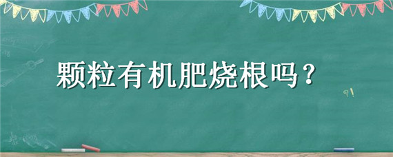 顆粒有機(jī)肥燒根嗎 有機(jī)復(fù)合肥燒根嗎