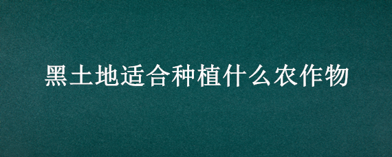 黑土地適合種植什么農(nóng)作物（東北黑土地適合種植什么農(nóng)作物）