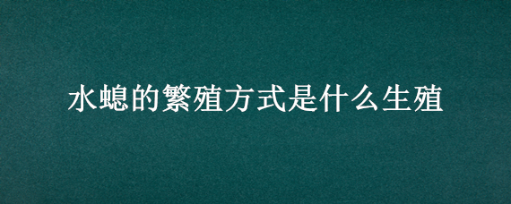 水螅的繁殖方式是什么生殖（水螅主要通過什么方式繁殖?）