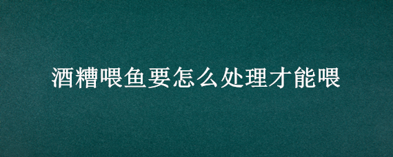 酒糟喂鱼要怎么处理才能喂（白酒糟可以喂鱼吗）