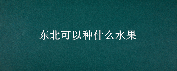 东北可以种什么水果（东北适合盆栽什么水果）