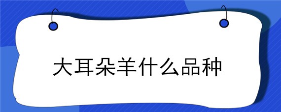 大耳朵羊什么品种 长耳朵羊品种