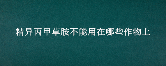 精異丙甲草胺不能用在哪些作物上（精異丙甲草胺使用范圍及方法）