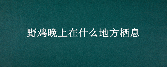 野鸡晚上在什么地方栖息 野鸡晚上住在什么地方?