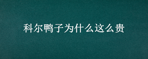 科尔鸭子为什么这么贵 科尔鸭好卖吗