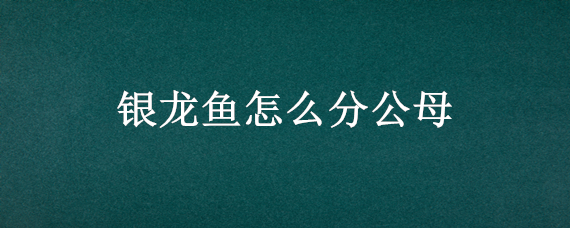 銀龍魚怎么分公母（銀龍魚怎么分公母圖片）