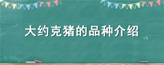 大约克猪的品种介绍 约克猪是什么品种