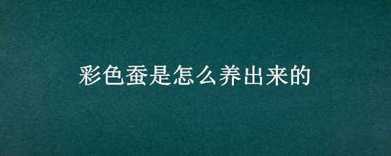 彩色蚕是怎么养出来的 饲养彩色蚕的详细过程