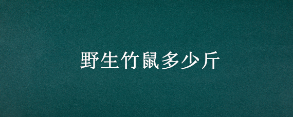 野生竹鼠多少斤 野生竹鼠最大的有多大多重