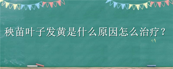 秧苗葉子發(fā)黃是什么原因怎么治療（秧苗葉子發(fā)黃是什么原因怎么治療水稻根發(fā)黑怎么辦）