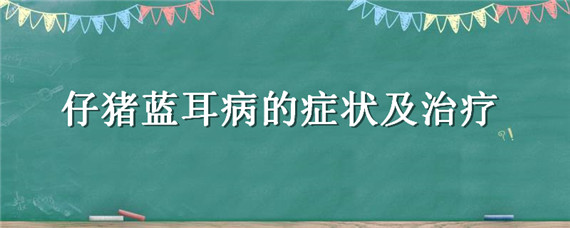 仔猪蓝耳病的症状及治疗（仔猪蓝耳病症状与治疗）