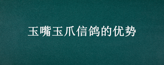 玉嘴玉爪信鸽的优势（玉嘴白爪信鸽特点）