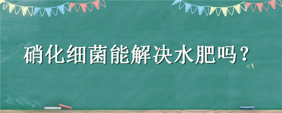 硝化细菌能解决水肥吗 水太肥加硝化细菌有用吗