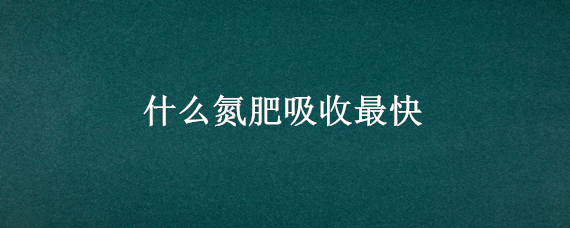 什么氮肥吸收最快 最重要的氮肥