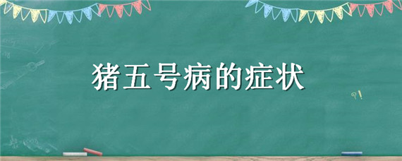 豬五號病的癥狀（豬五號病的癥狀都是什么現(xiàn)象）