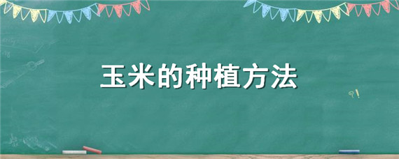 玉米的種植方法 玉米的種植方法與時(shí)間