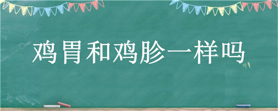 鸡胃和鸡胗一样吗 鸡的胃是什么样的