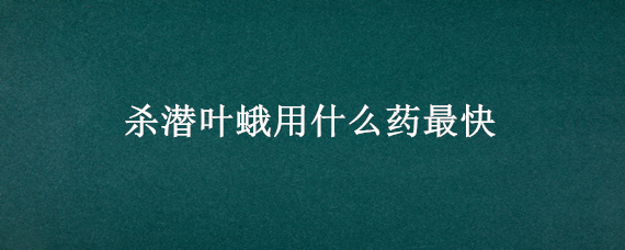 殺潛葉蛾用什么藥最快 潛葉蛾什么時間打藥效果好