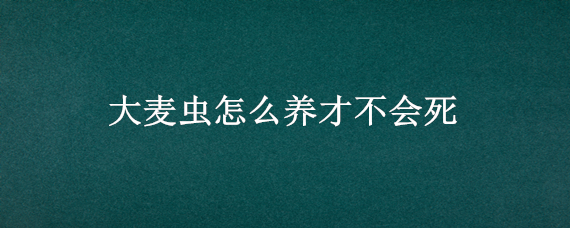 大麥蟲怎么養(yǎng)才不會(huì)死（為什么大麥蟲養(yǎng)不活）